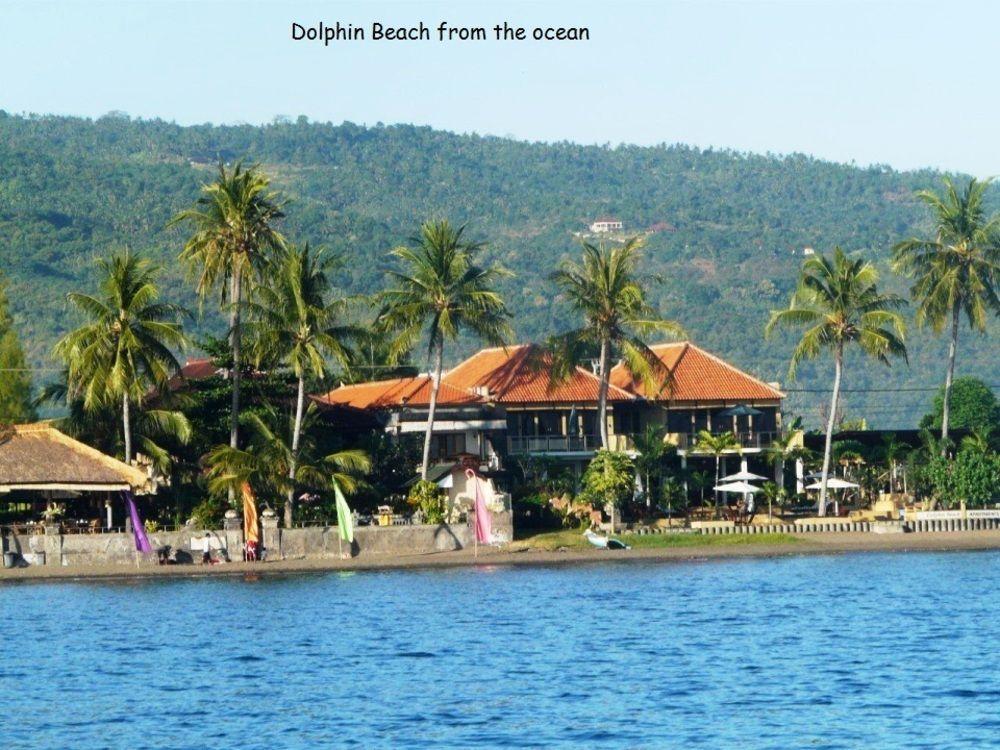 Dolphin Beach Bali Lovina Eksteriør billede