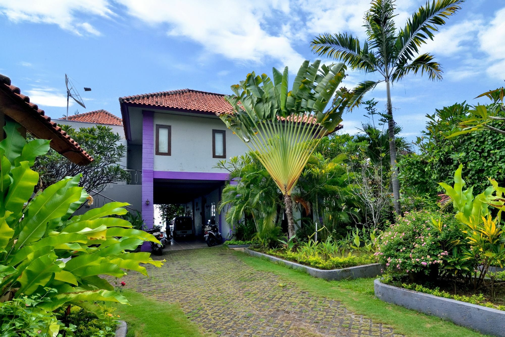 Dolphin Beach Bali Lovina Eksteriør billede