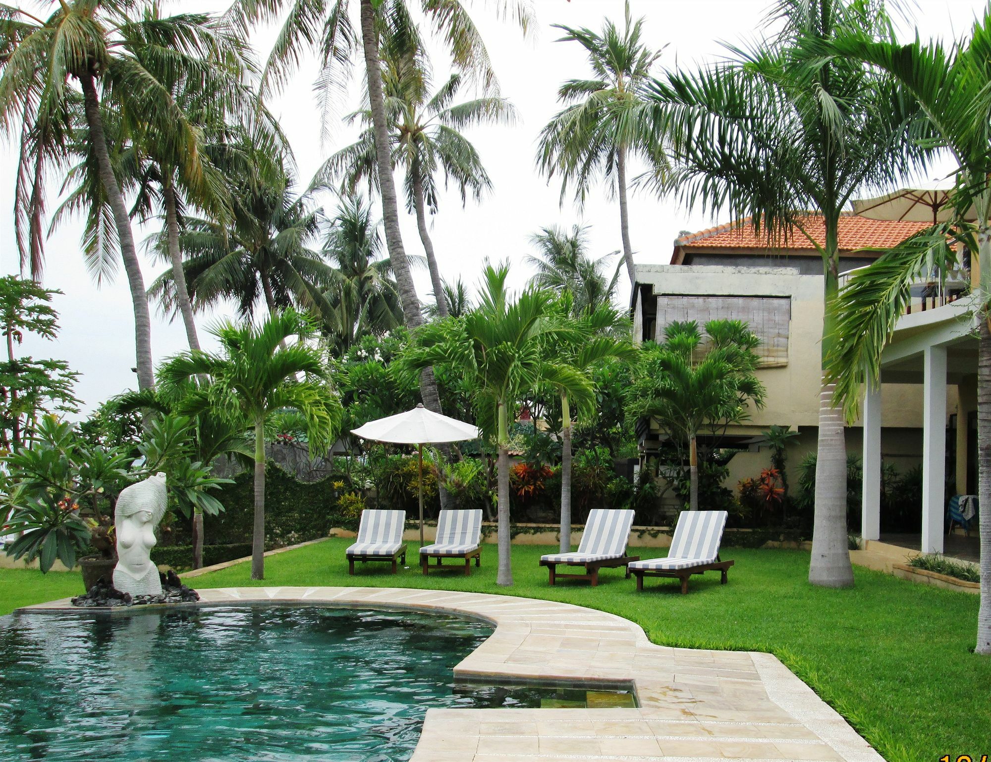 Dolphin Beach Bali Lovina Eksteriør billede